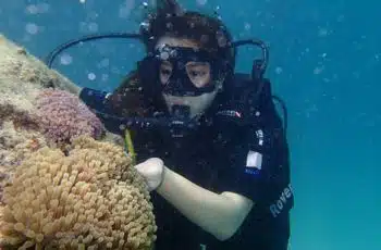 Cursos de Buceo Bautizos de Buceo y Paseos en Barco